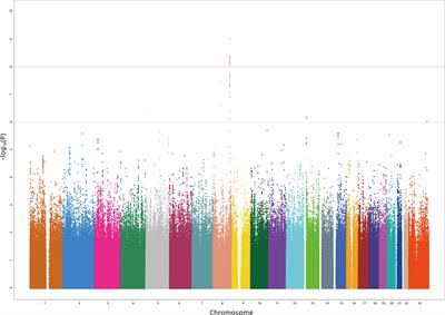 A Germline Variant at 8q24 Contributes to the Serum p2PSA Level in a Chinese Prostate Biopsy Cohort